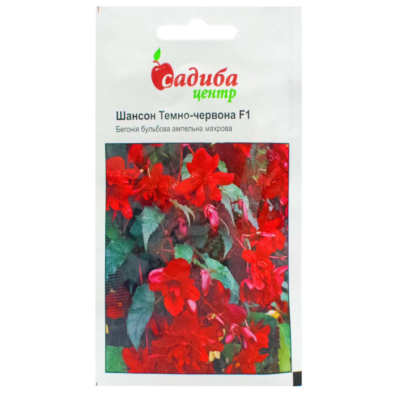 Насіння бегонії ампельної Шансон F1, темно-червона, 10шт, Cerny, Чехія, Садиба Центр
