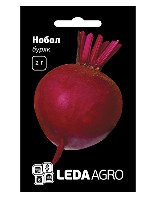 Насіння буряка круглого Нобол, 2 г, Clause, Франція, насіння Леда Агро