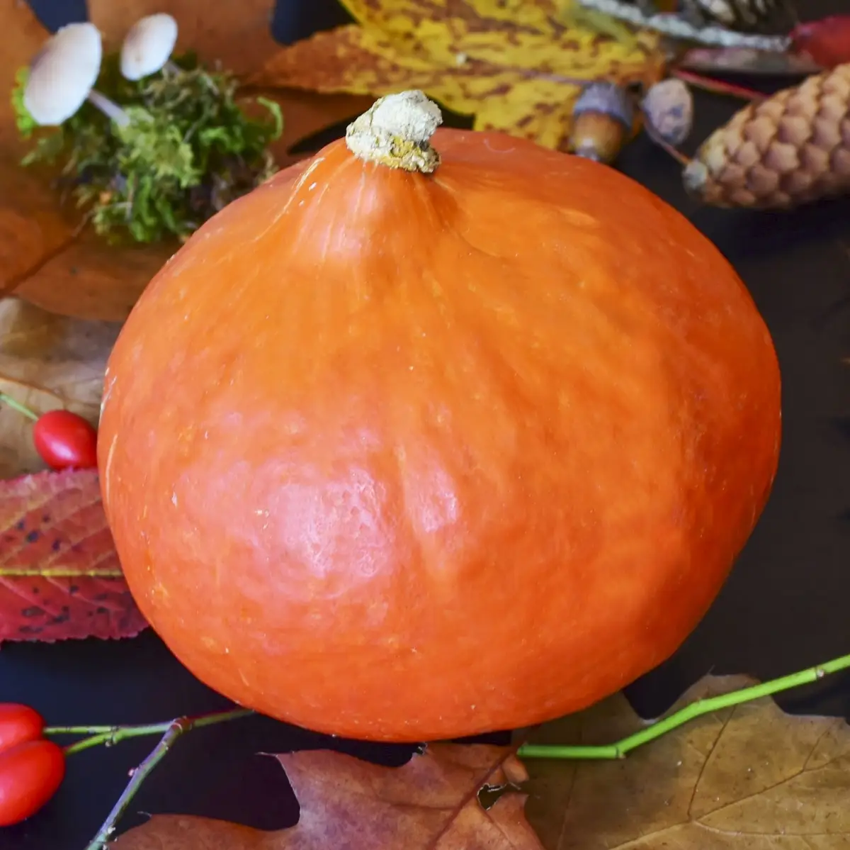 Насіння гарбуза Хоккайдо, 2г, Hem, Голландія, Професійне насіння 2