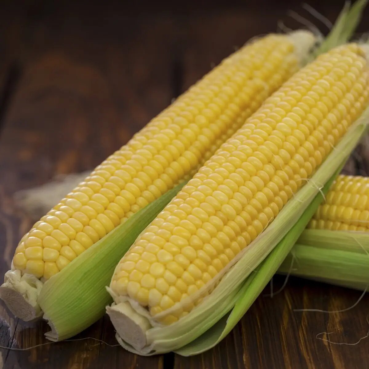 Насіння кукурудзи Форвард F1, 15 шт, Lark Seeds, США, Професійне насіння 2