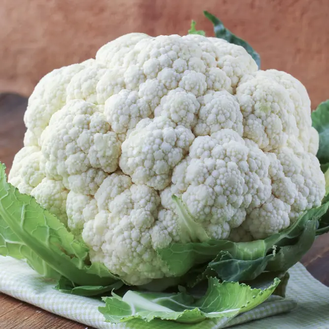 Насіння капусти кольорової Бьянка F1, 20шт, Nong Woo Bio, Корея, Професійне насіння 3