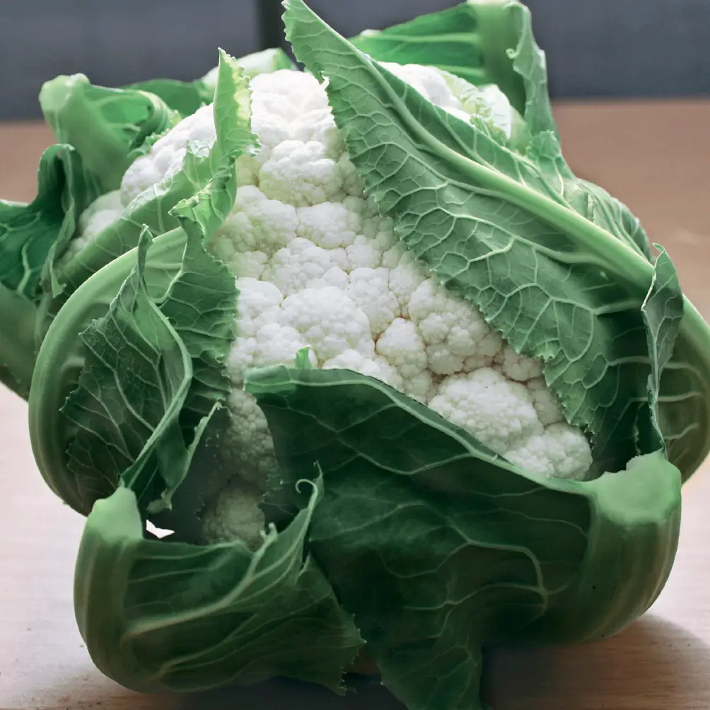 Насіння капусти кольорової Бьянка F1, 20шт, Nong Woo Bio, Корея, Професійне насіння 2