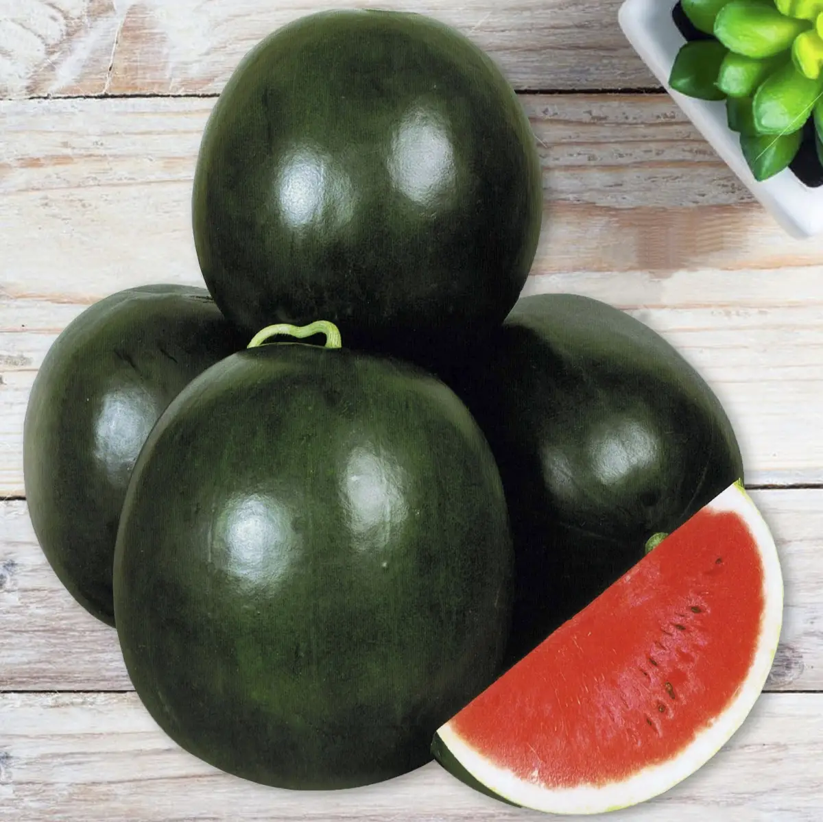 Насіння кавуна Ромеро F1, овальний, 8шт, United Genetics, Італія, Професійне насіння 2