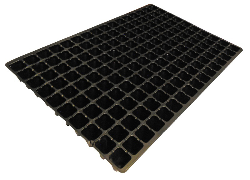 Касета для розсади ОР, 160яч., 600х400х50, яч. 32х32х50, V6040/160T