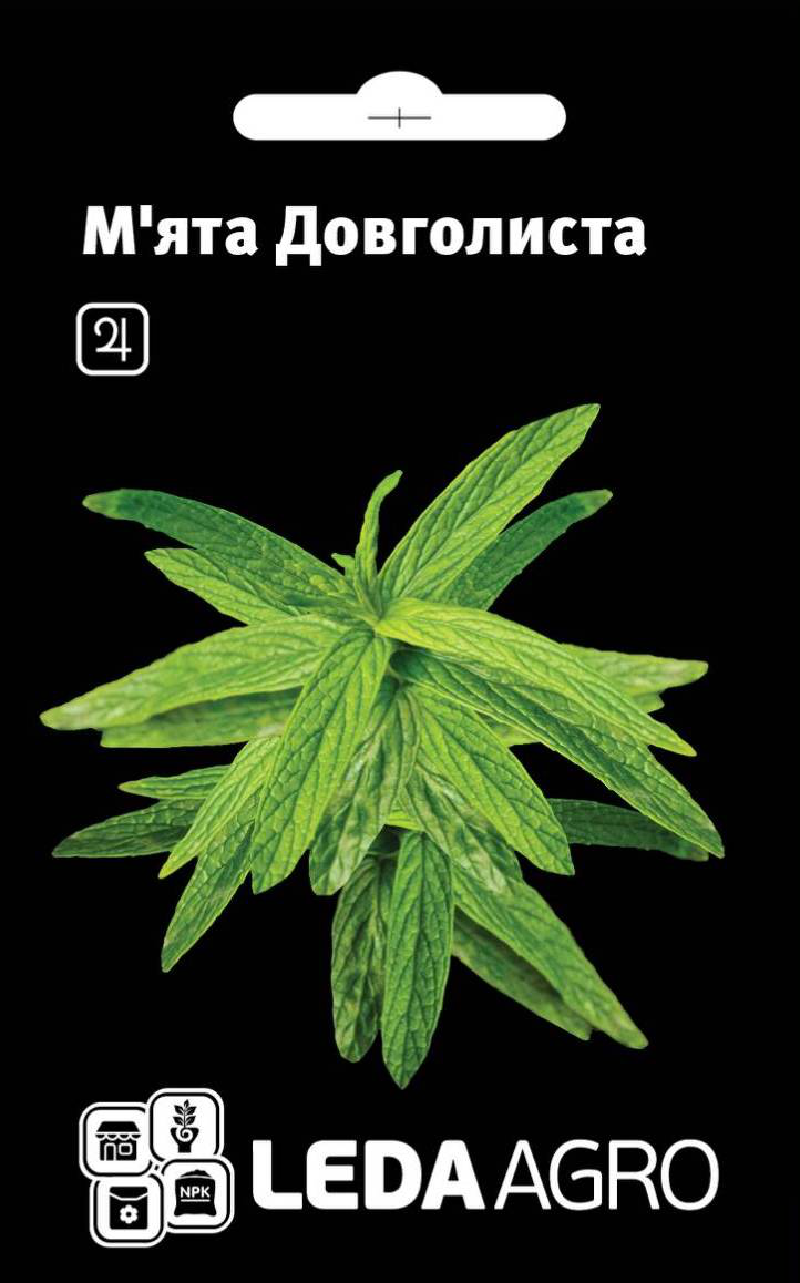 Насіння м'яти длиннолистной, 0.05 г, Hem, Голландія, Леда Агро 1