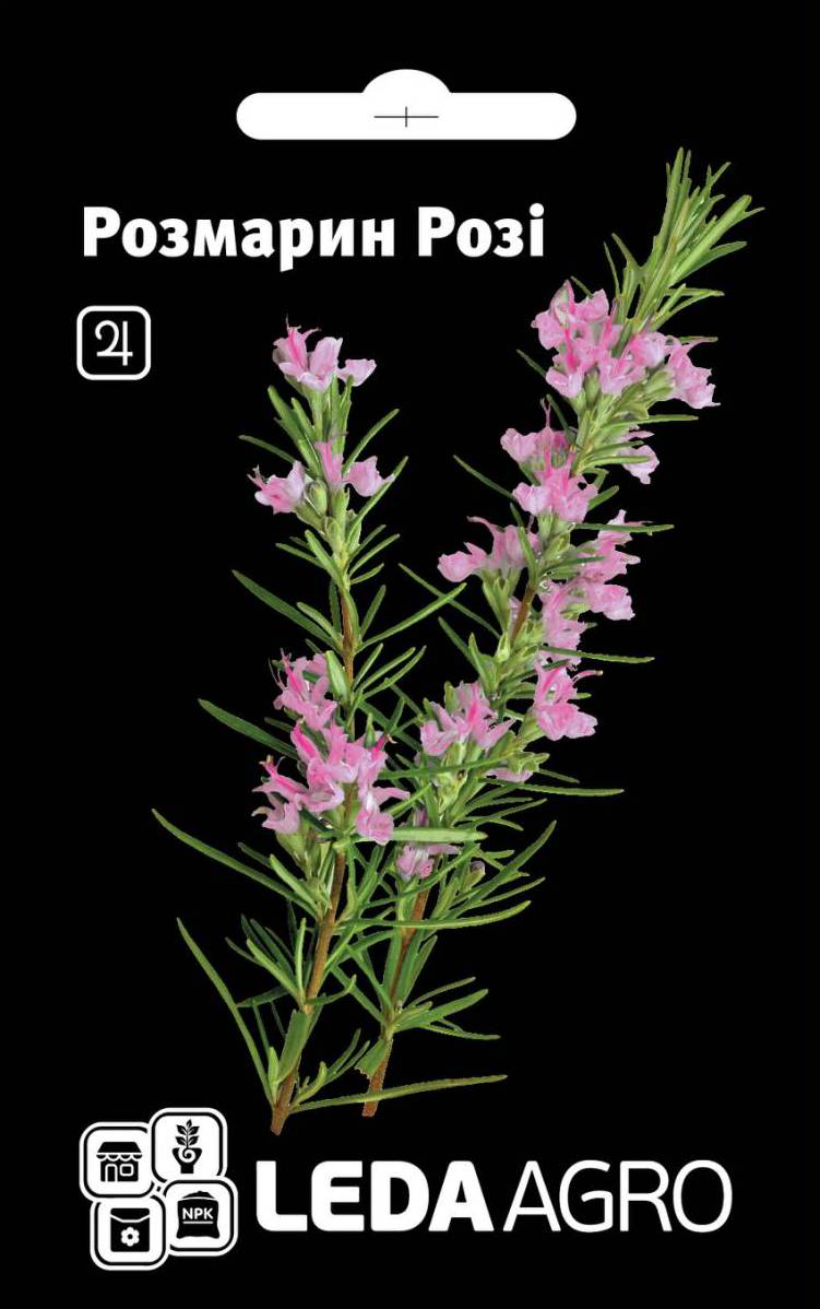 Семена розмарина Рози, 0.03г, семена Леда Агро 1