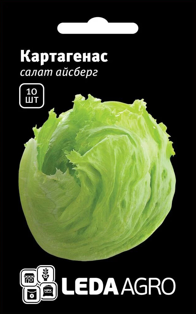 Насіння салату Картагенас, 10 шт, Rijk Zwaan, Голландія, насіння Леда Агро 1