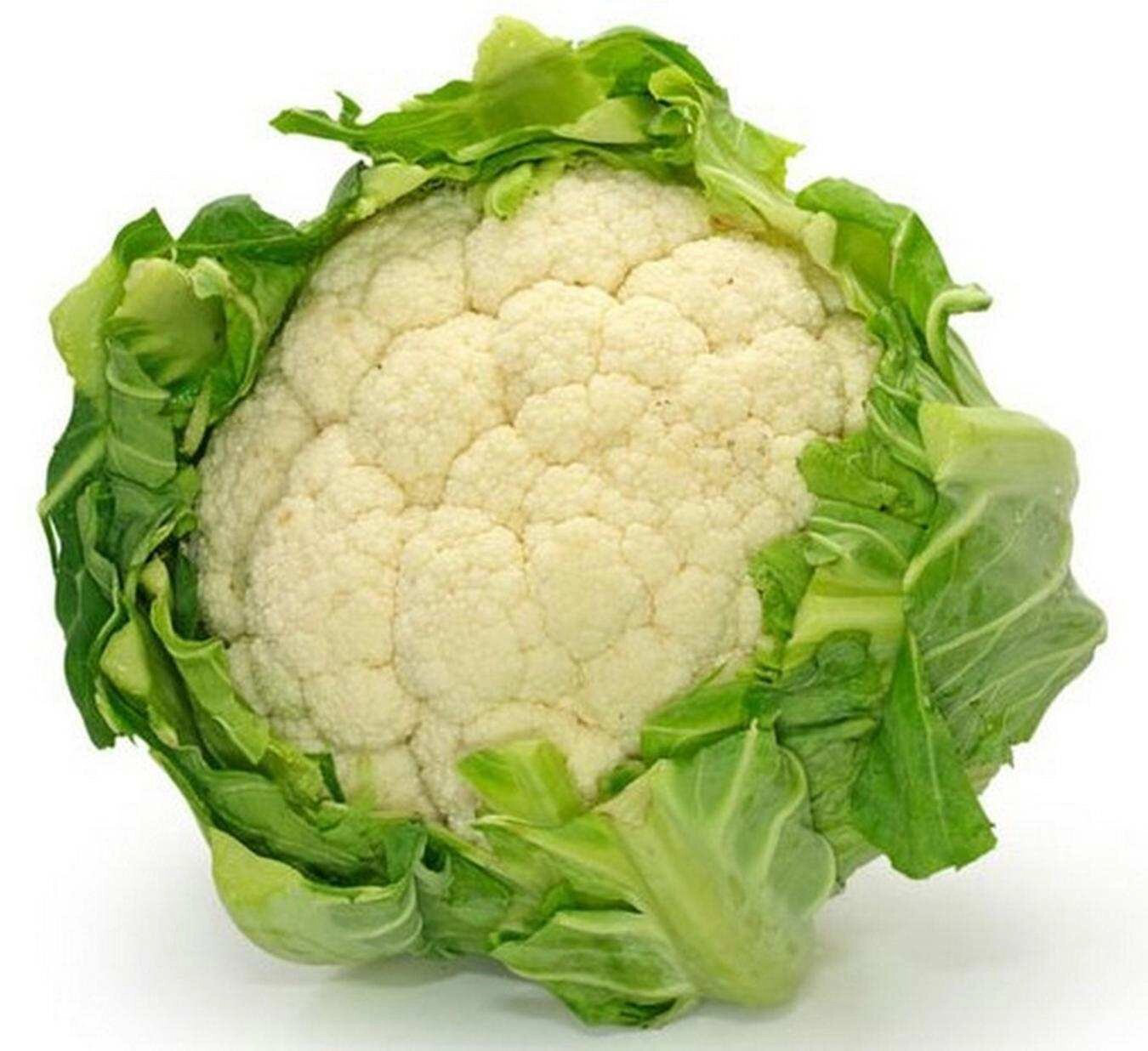 Насіння капусти Шамбор F1, 10 шт, Rijk Zwaan, Голландія, Леда Агро 2