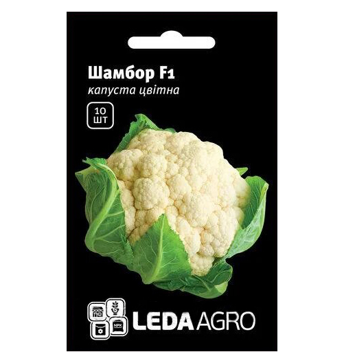 Насіння капусти Шамбор F1, 10 шт, Rijk Zwaan, Голландія, Леда Агро 1