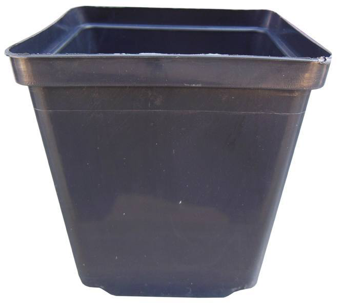 Горщик для розсади квадратний, 11х11х12, 1л, чорний