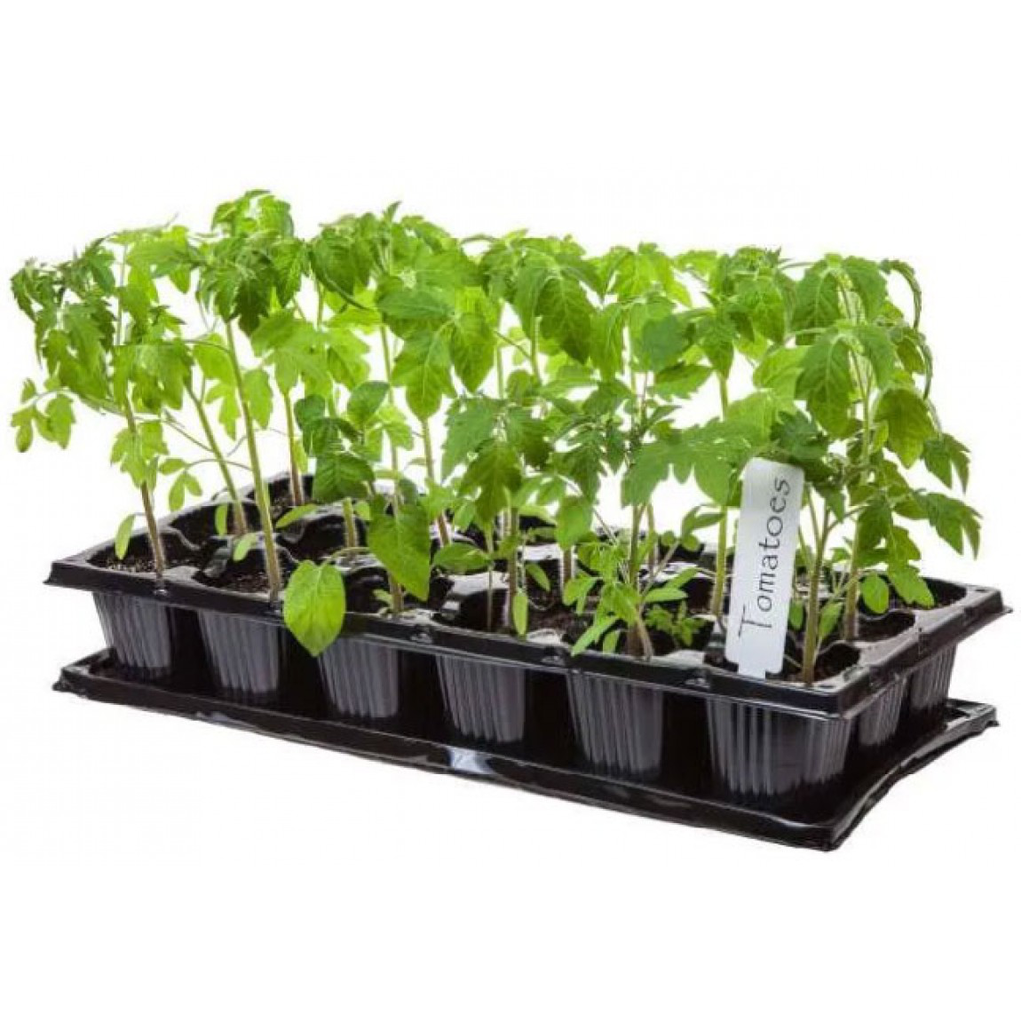 Поддон пластиковый под кассеты, 600х400х35 мм 3