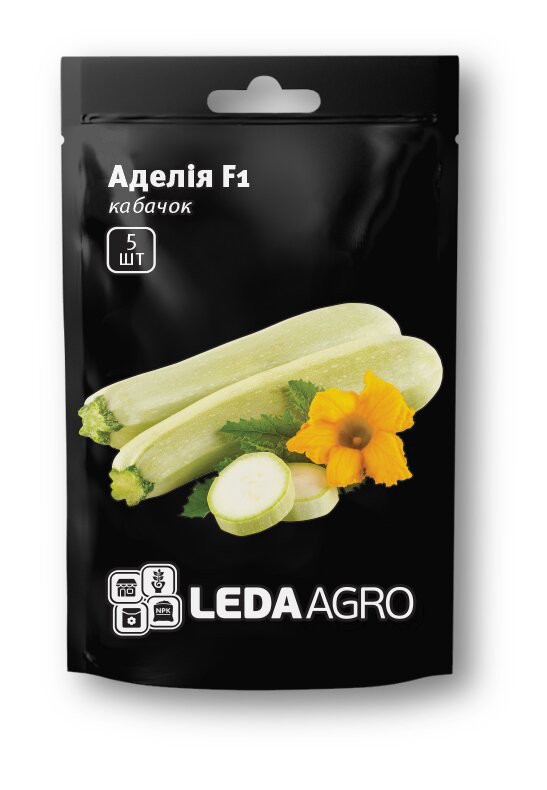 Насіння кабачка Аделія F1, 5 шт, Enza Zaden, Голландія, Леда Агро 1