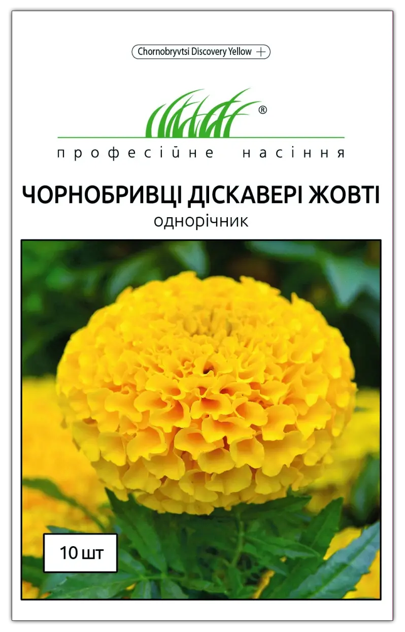 Семена бархатцов Дискавери, желтые, 10шт, Benary, Германия, Професійне насіння 1