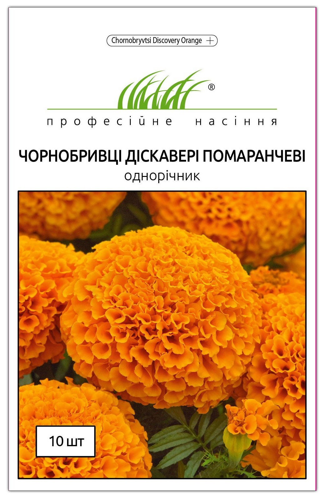 Насіння чорнобривців Діскавері, помаранчеві, 10шт, Benary, Німеччина, Професійне насіння 1
