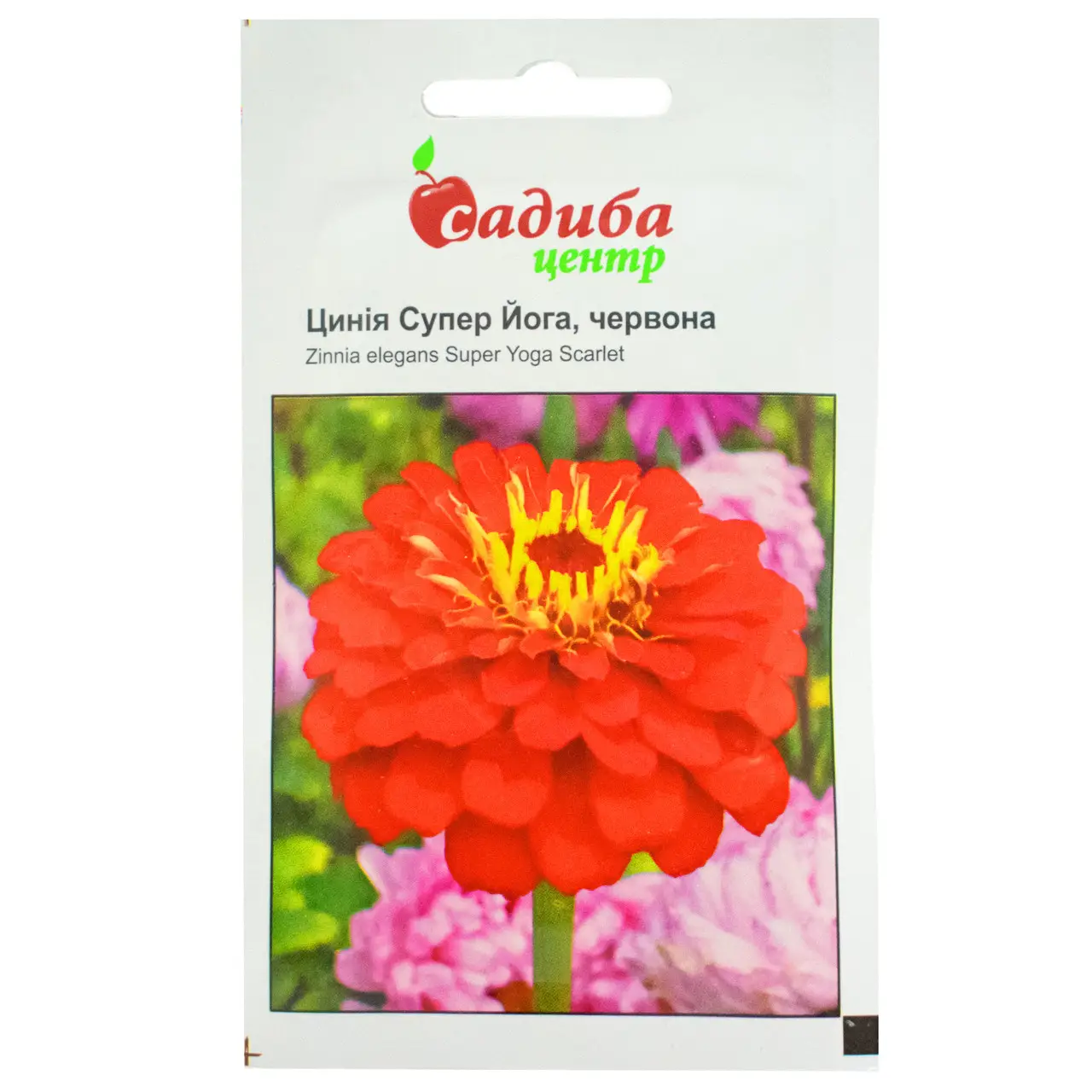 Насіння цинії Супер йога, червона, 0.5 г, Hem, Голландія, Садиба Центр 1