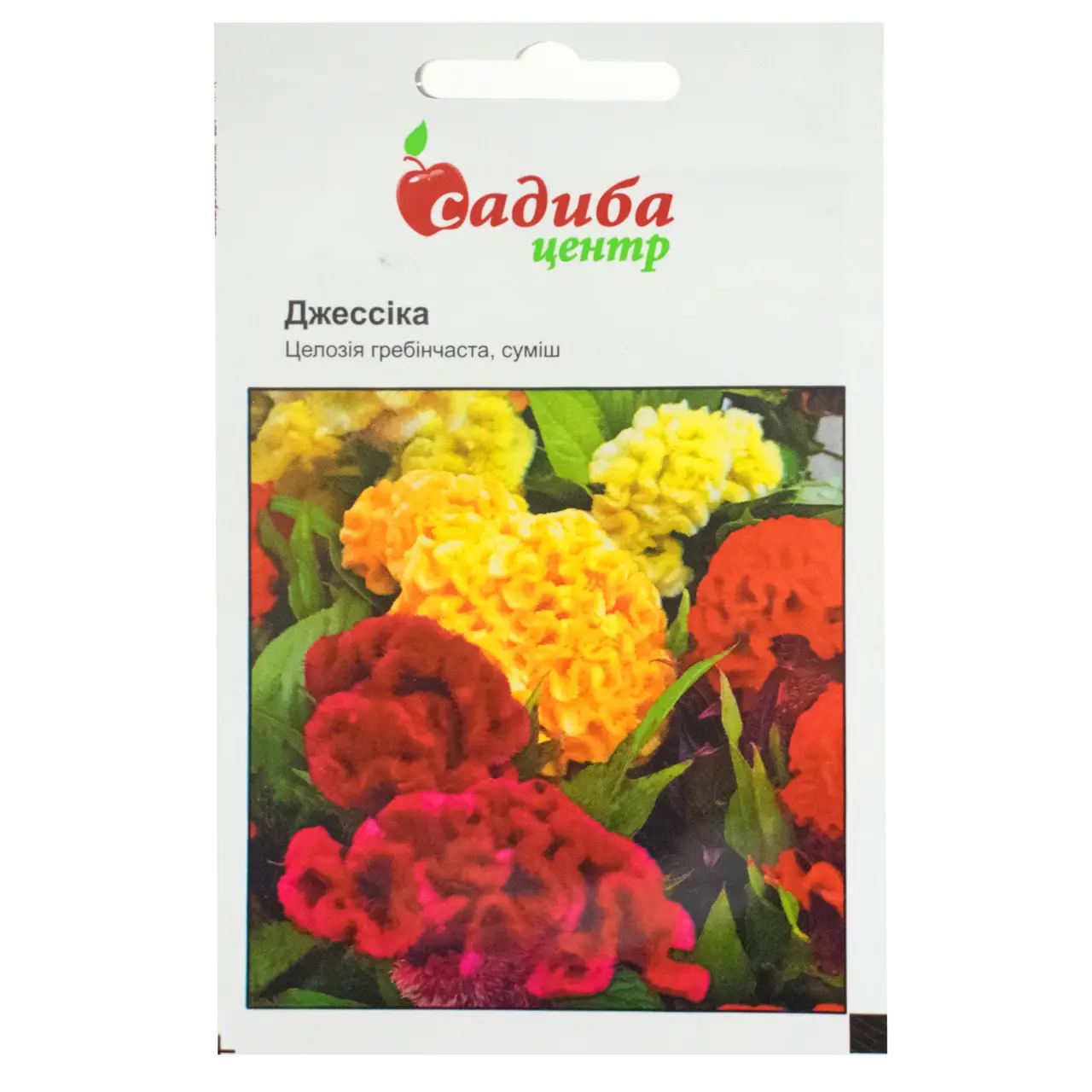 Насіння целозії Джессіка, 0.03 г, Hem, Голландія, Садиба Центр 1