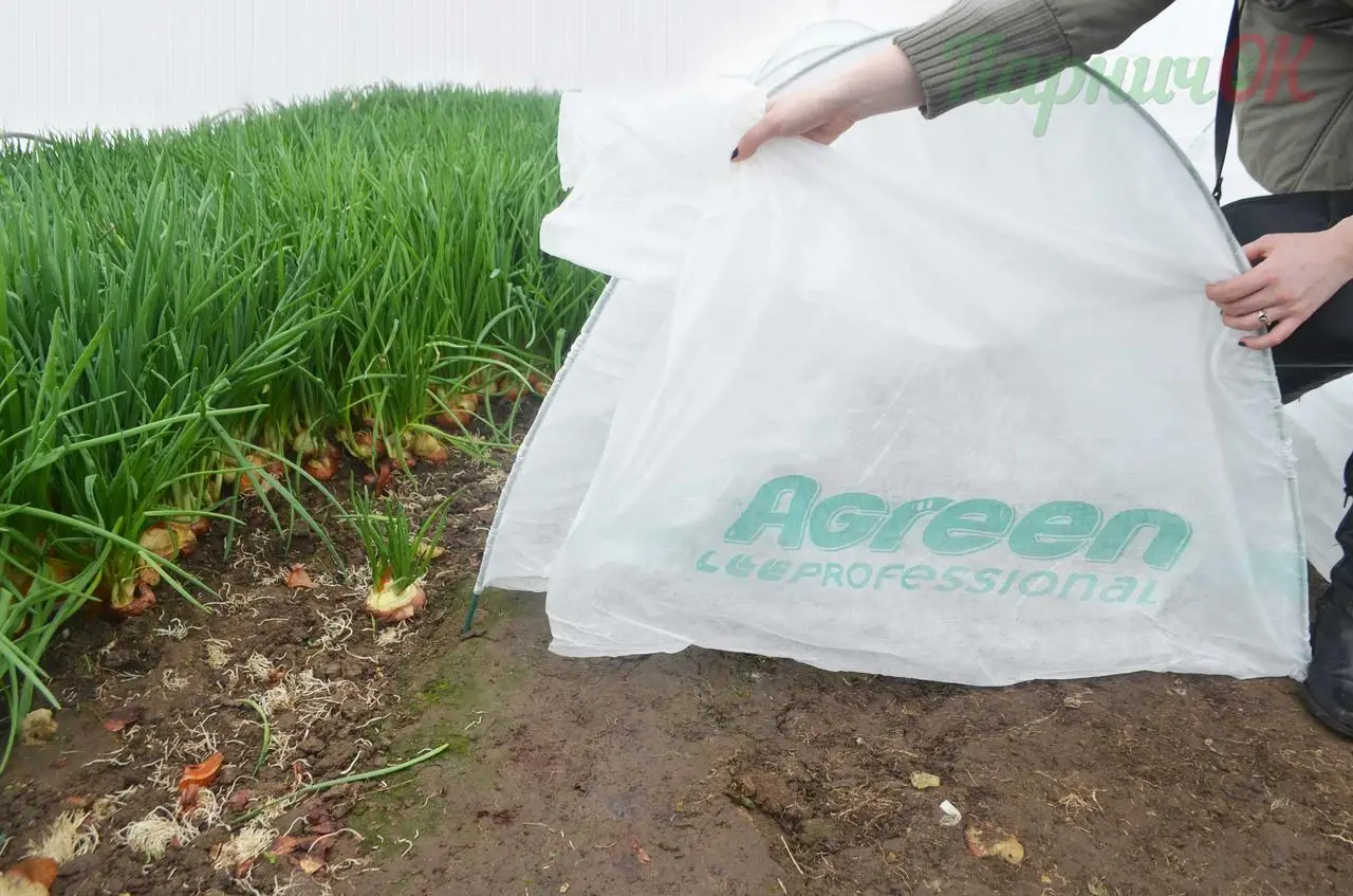 Мініпарнічок теплиця Парничок, 9х0.8х0.9м, Agreen (Агрін) 4