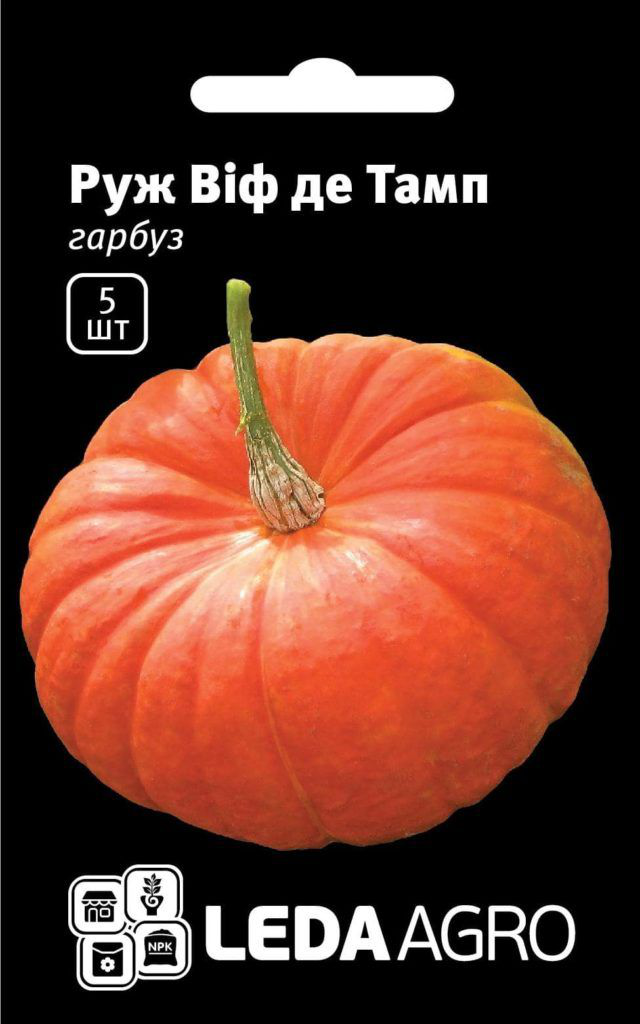Насіння гарбуза Руж Віф де Тамп, 5шт, Tezier, Франція, насіння Леда Агро 1