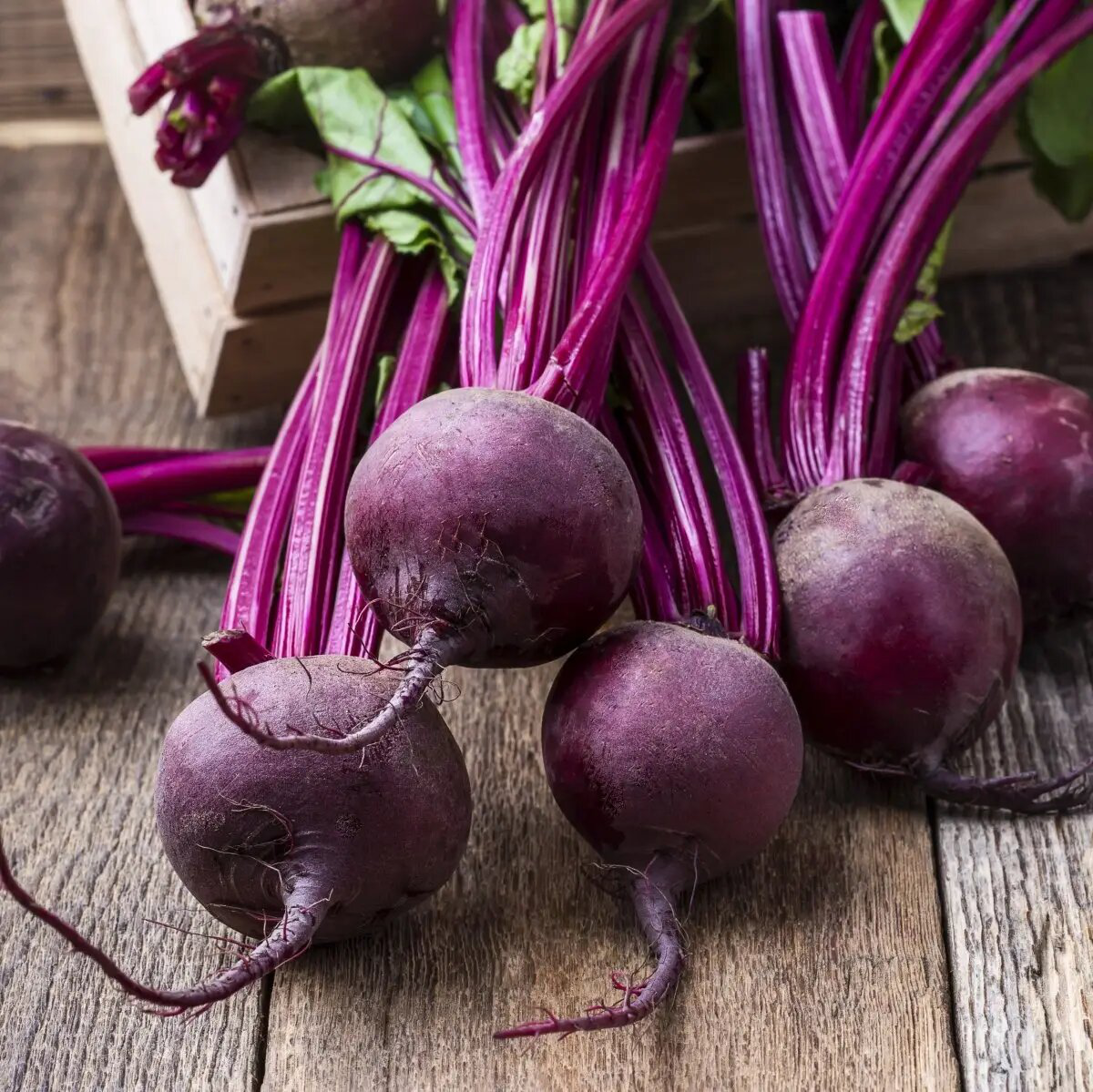 Насіння буряка столового Бохан, 3 г, Bejo, Голландія, Професійне насіння 2