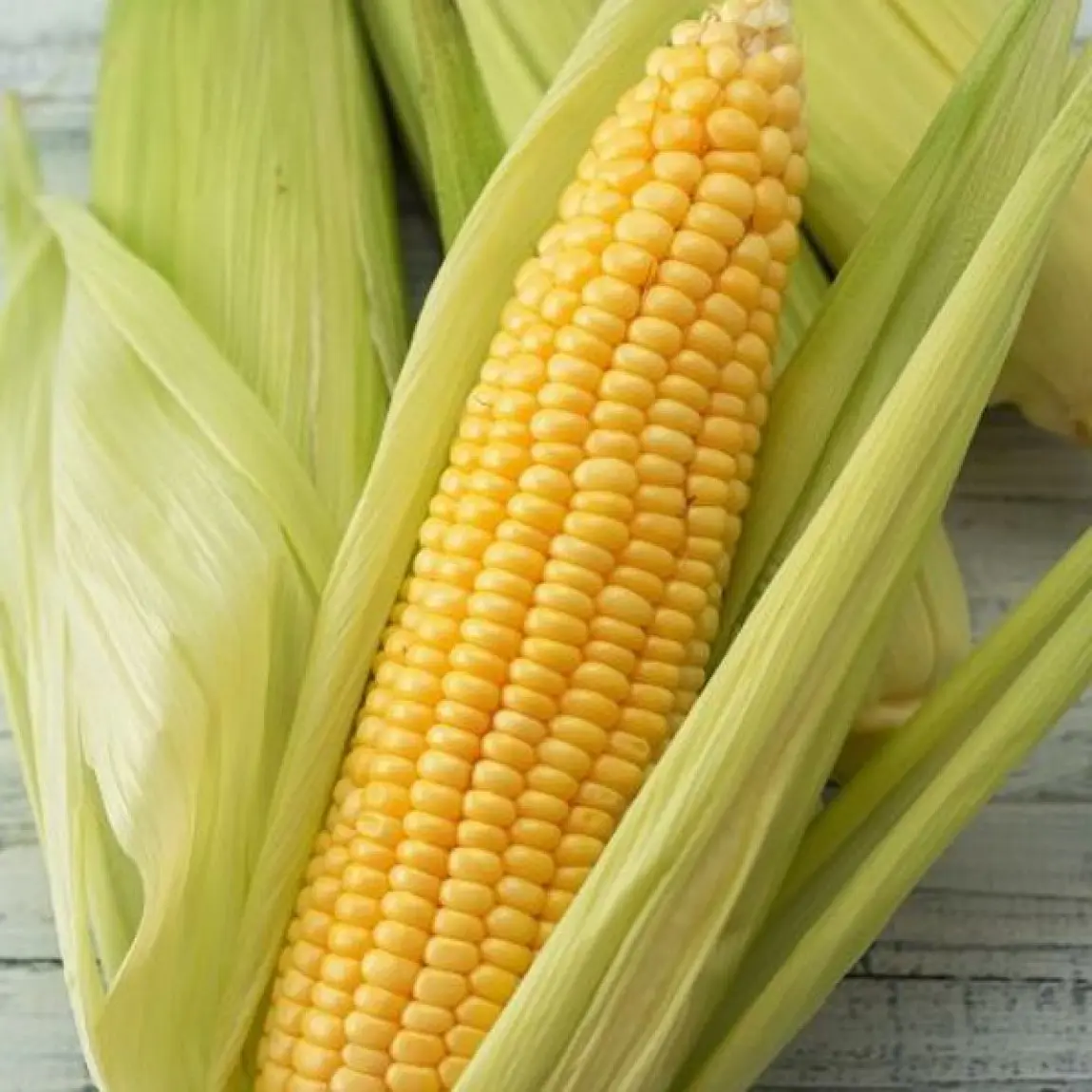 Насіння кукурудзи Джубили F1, 20шт, Syngenta, Голандія, Садиба Центр 2