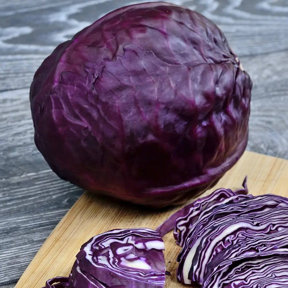 Насіння капусти Ред Харізма F1, 20 шт, Rijk Zwaan, Голландія, Професійне насіння 2