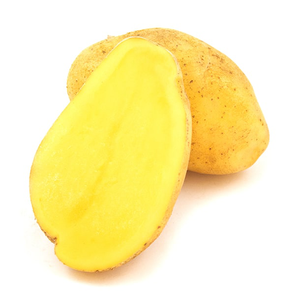 Насіннєва картопля Раномі (1 репродукція), 2.5кг, (Agrico) 3