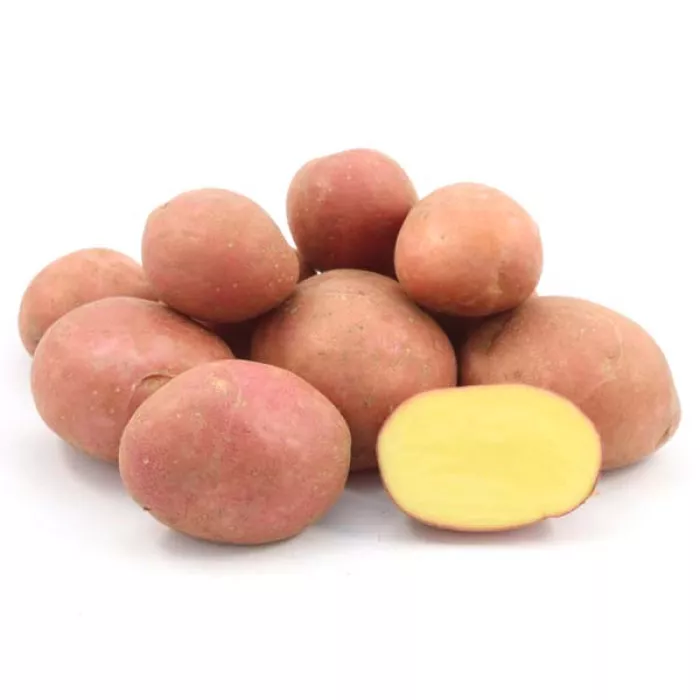 Насіннєва картопля Есмі (1 репродукція), 2.5кг, (Agrico) 1