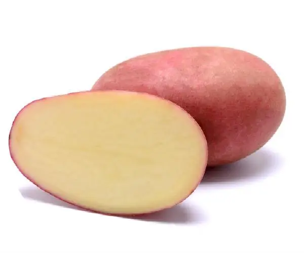 Насіннєва картопля, 2.5кг, Санібель (Еліта) 1