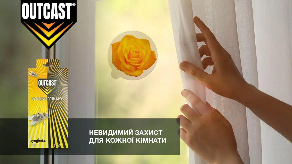 Наліпки від мух Outcast 5г, Syngenta (Сингента) 3