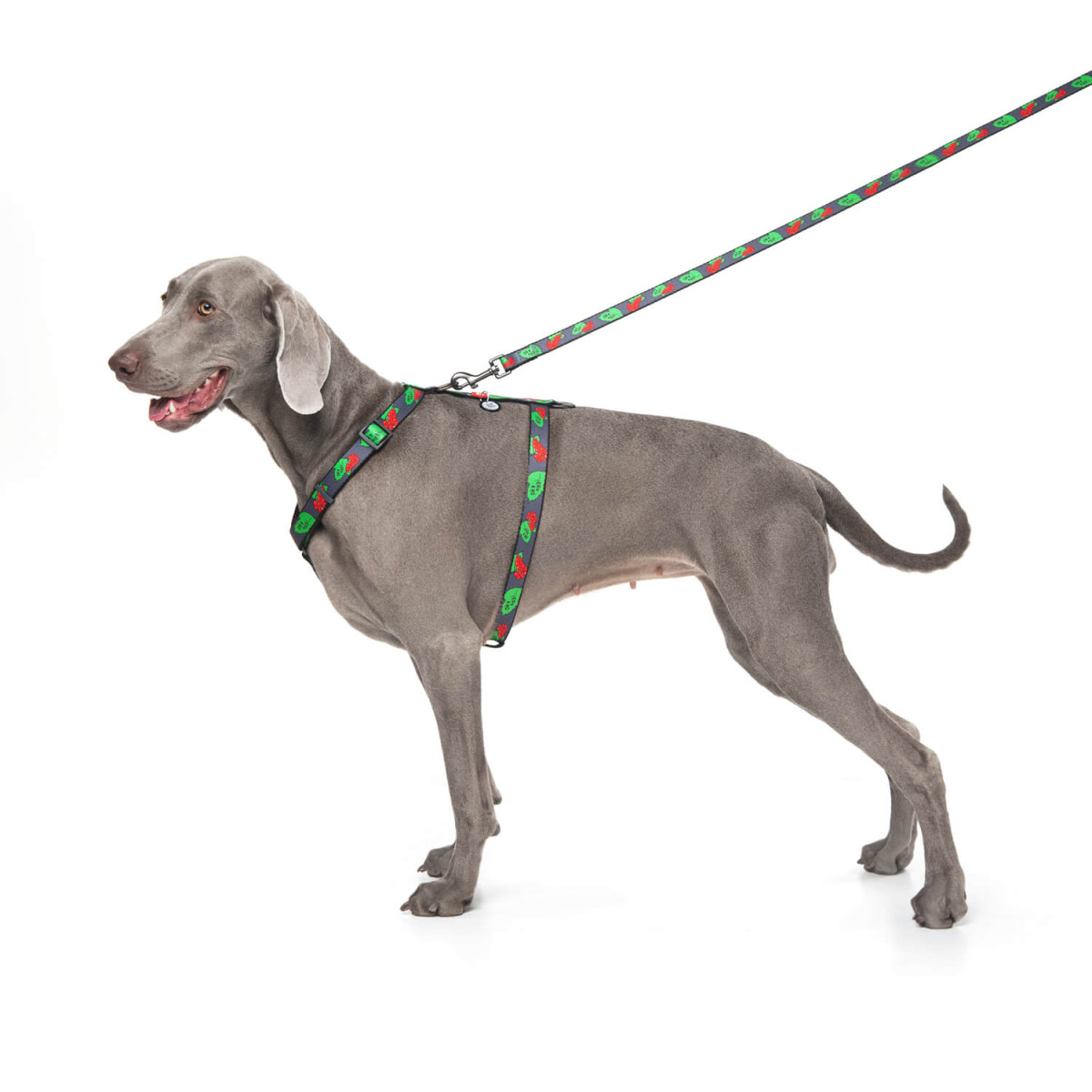 Шлея для собак анатомічна Н-образна, з QR-паспортом, матеріал нейлон,  малюнок Калина, пластиковий фастекс, розмір S, Ш 15 мм, А 30-40, В 30-50 3