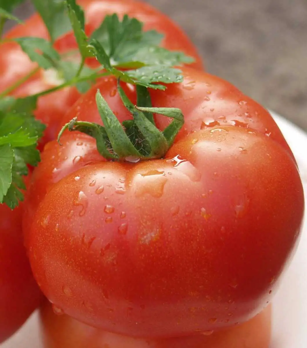 Семена томата Полбиг F1, 0.05г, Bejo, Голландия, Професійне насіння 2