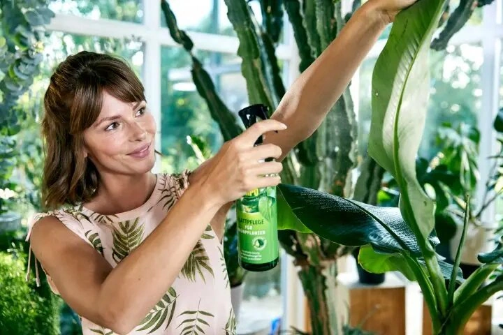 Комплексне мінеральне добриво для догляду за листям зелених рослин, 500 мл, Compo (Компо), 2263 3