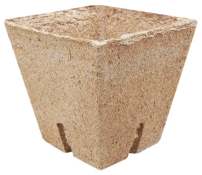 Стаканчик торф'яний квадратний Jiffy (Джиффі), 8x8см, 10шт, TM ROSLA (Росла) 1