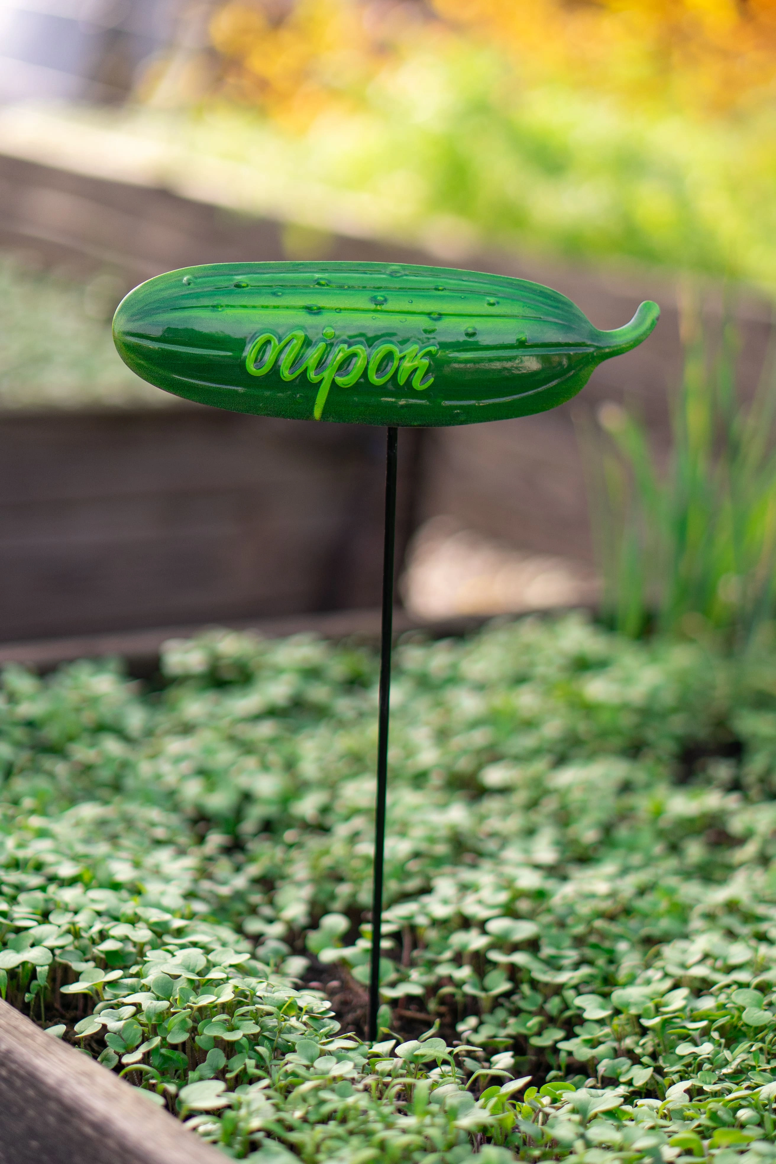 Декоративна табличка садова,  L=60см, Огірок 1