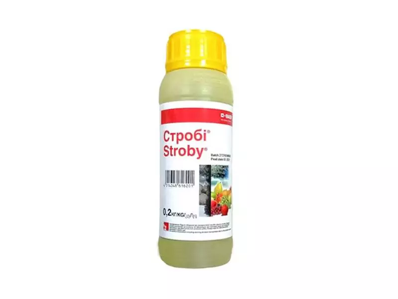 Фунгіцид Стробі 50%, 200 гр.
