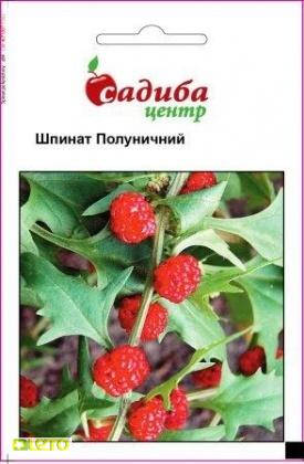 Насіння шпинату Полуничний, 0.1 г, Hem, Голландія, насіння Садиба Центр