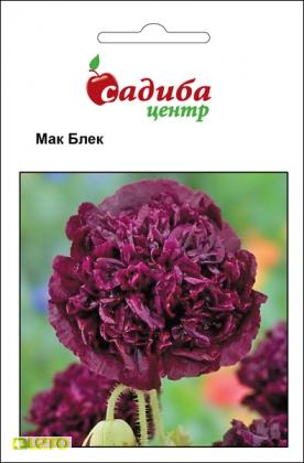 Насіння маку Блек, піоновідний, 0.1 г, Hem, Голландія, Садиба Центр