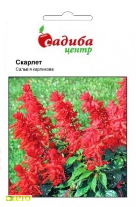 Насіння сальвії Скарлет, 0.1 г, Hem, Голландія, Садиба Центр