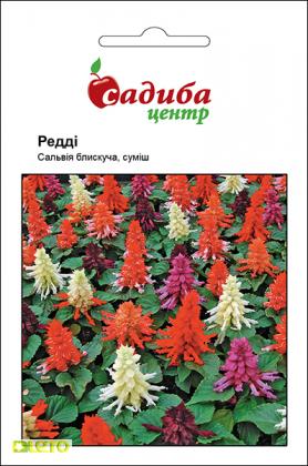 Семена сальвии Редди, смесь, 20шт, Hem, Голландия, Садиба Центр