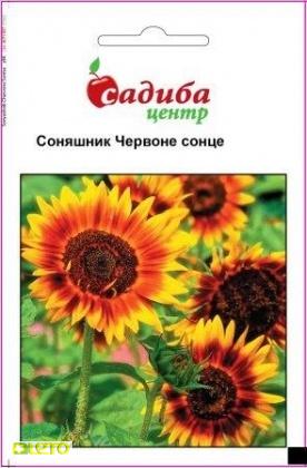 Семена подсолнуха Красное Солнце, 1г, Hem, Голландия, Садиба Центр