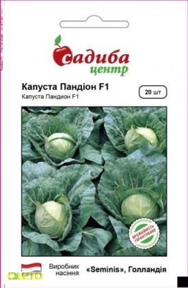Насіння капусти Пандіон F1, 20шт, Seminis, Голандія, насіння Садиба Центр