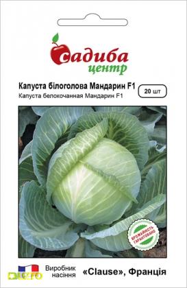 Насіння капусти Мандарин F1, 20шт, Clause, Франція, насіння Садиба Центр