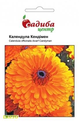 Насіння календули Кендімен, 0.2 м, Hem, Голландія, Садиба Центр