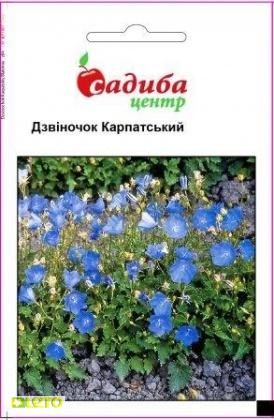 Насіння дзвоника Карпатський, 0.2 м, Hem, Голландія, Садиба Центр