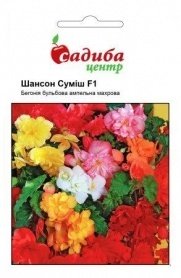 Насіння бегонії ампельної Шансон F1, суміш, 10шт, Cerny, Чехія, Садиба Центр