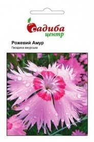Насіння гвоздики амурської рожевий Амур, 0.1 г, Hem, Голландія, Садиба Центр