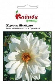 Насіння жоржини Білий дим, 0.1 г, Hem, Голландія, Садиба Центр