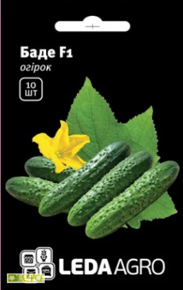 Насіння огірка Баде F1, 10шт, Yuksel, Туреччина, Насіння Льода Агро 1