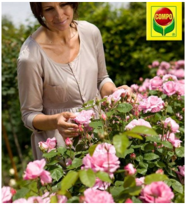 Комплексне мінеральне добриво для троянд Compo (Компо), 2кг 4
