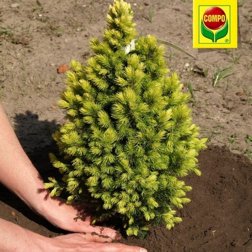 1579 Компо Тверде добриво тривалої дії для хвойних 2кг 3